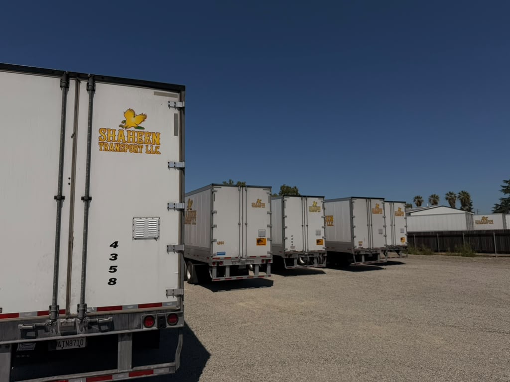 Shaheen Transport branded dry van trailers at the terminal yard