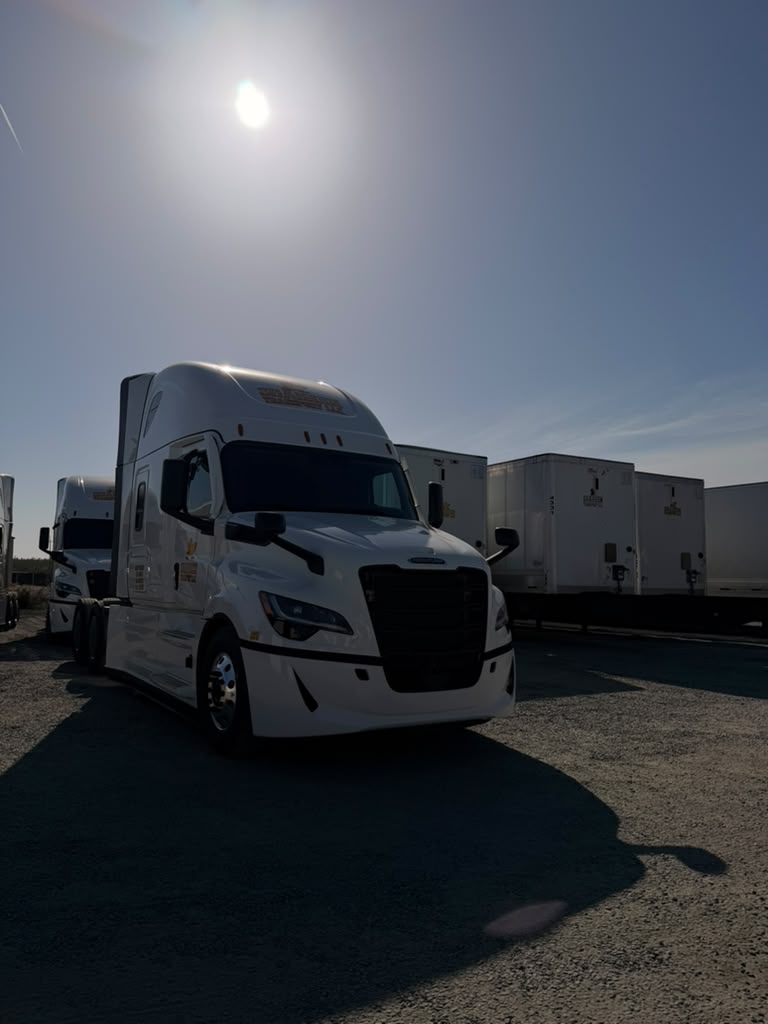 Shaheen Transport Freightliner tractor parked in the yard with trailers in the background