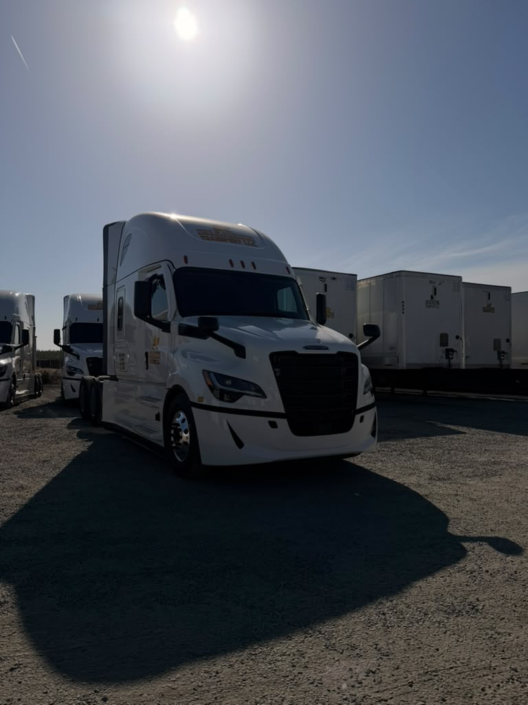 Shaheen Transport white Freightliner parked in the yard under the sun