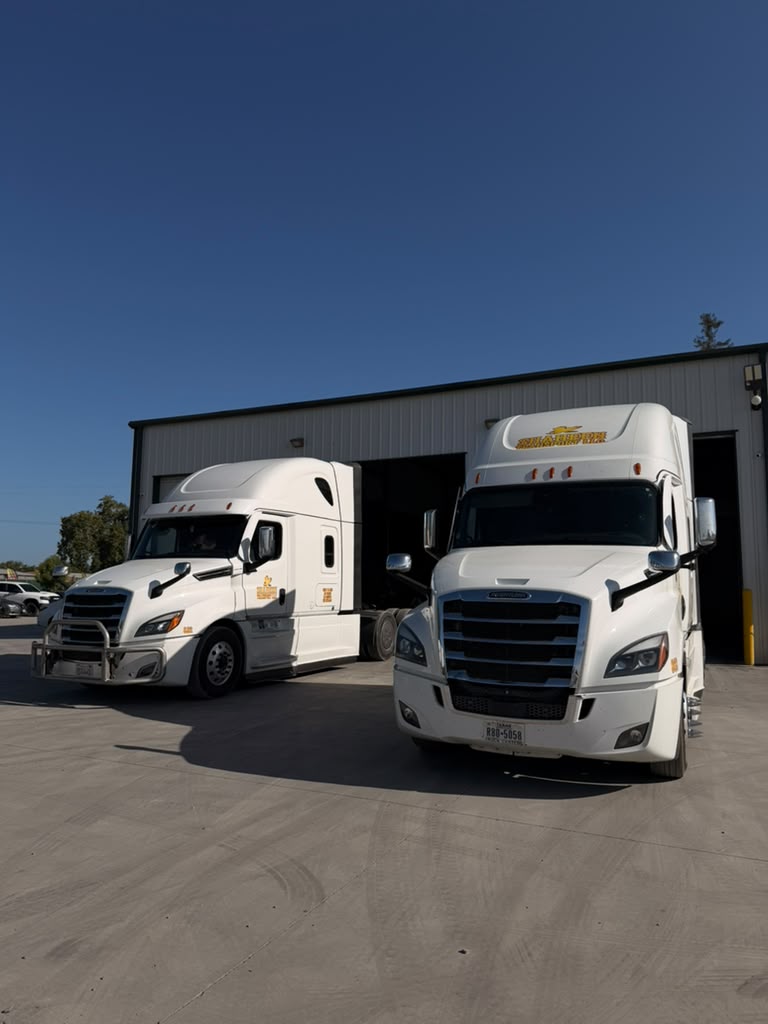 Two Shaheen Transport trucks parked in front of the terminal building