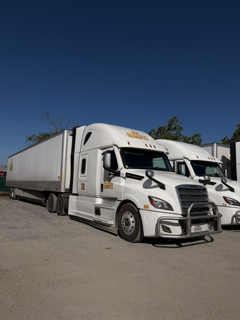 Shaheen Transport truck with attached dry van trailer